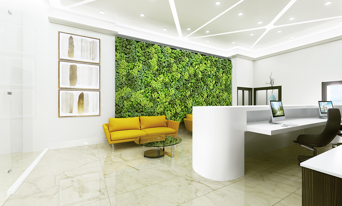 BIOPHILIC DESIGN: How to incorporate to your home interior