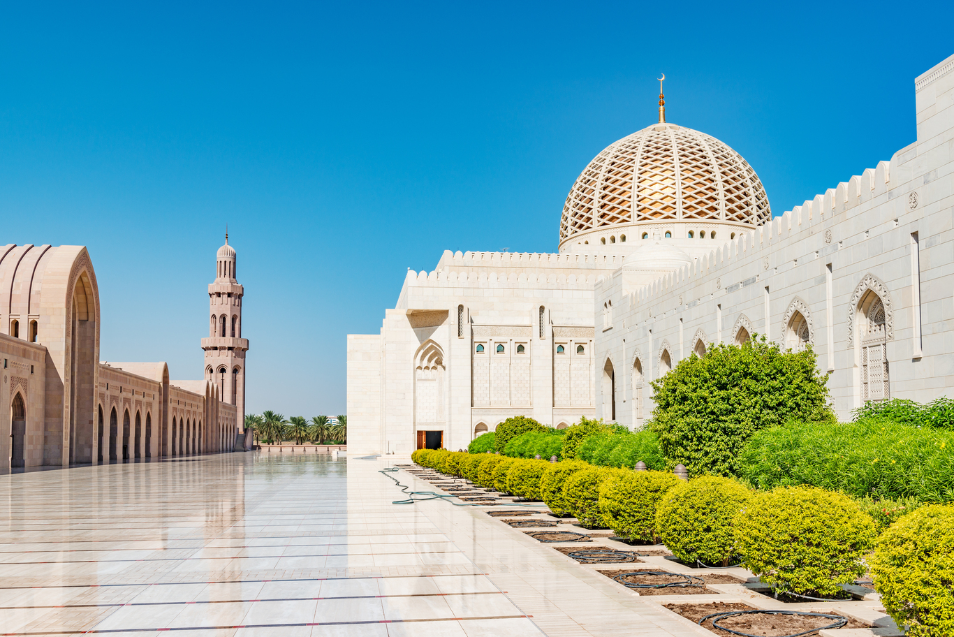 البيوت العمانية المعاصرة