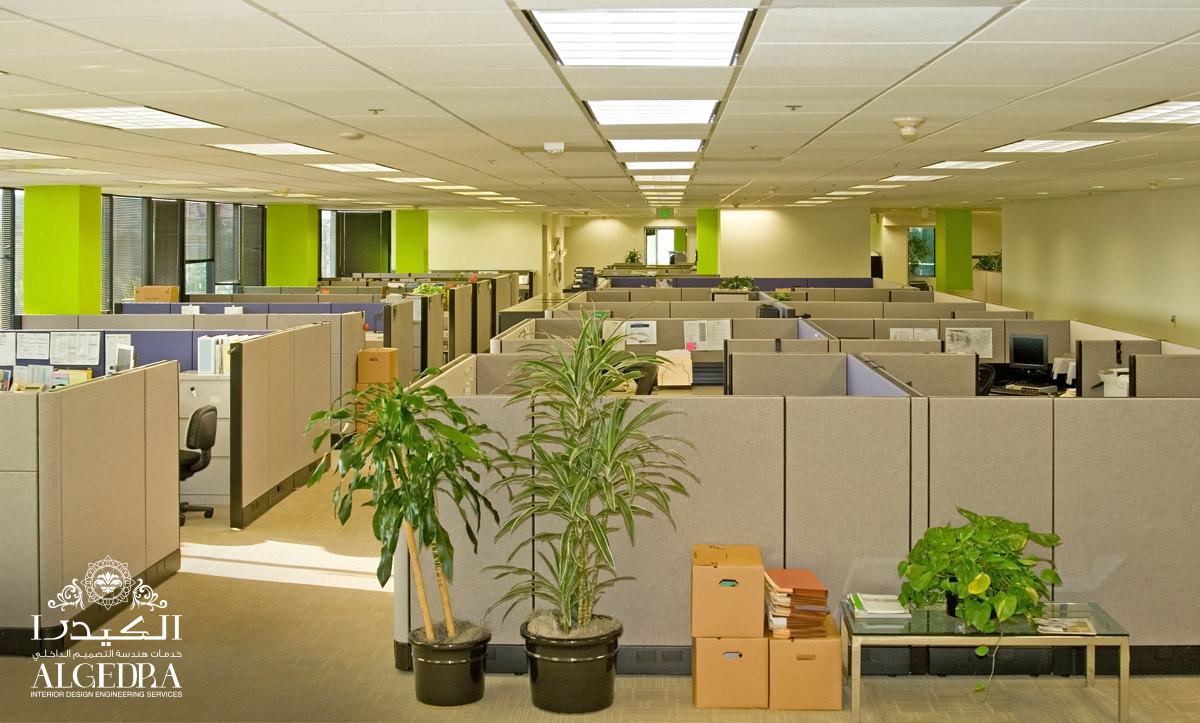 office space design by Algedra